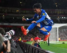 哈兰德不参加欧洲杯 哈兰德不参加欧洲杯